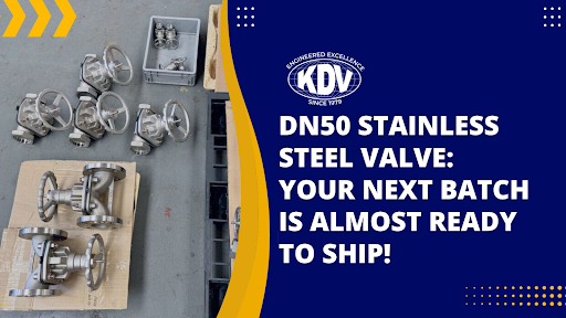 DN50 Stainless Steel Valve- KDV Valves